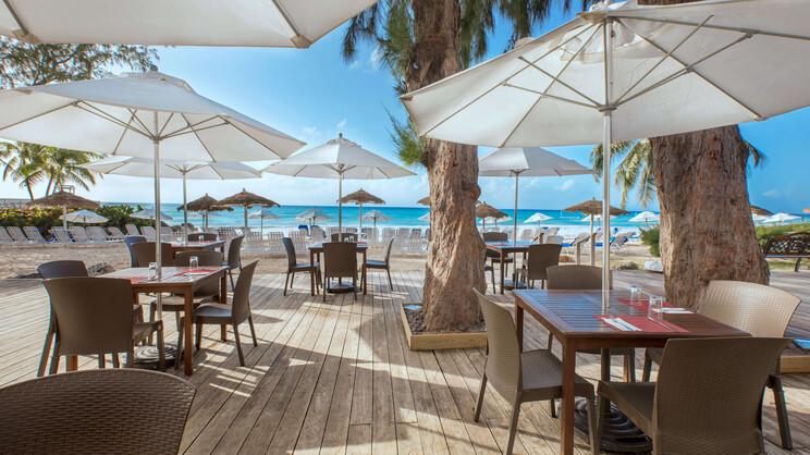 Bougainvillea Barbados